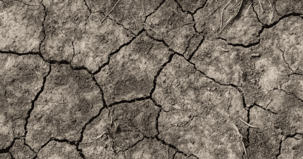 Hard, Dried, Cracked soil.